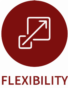 Image Flexibility Slide